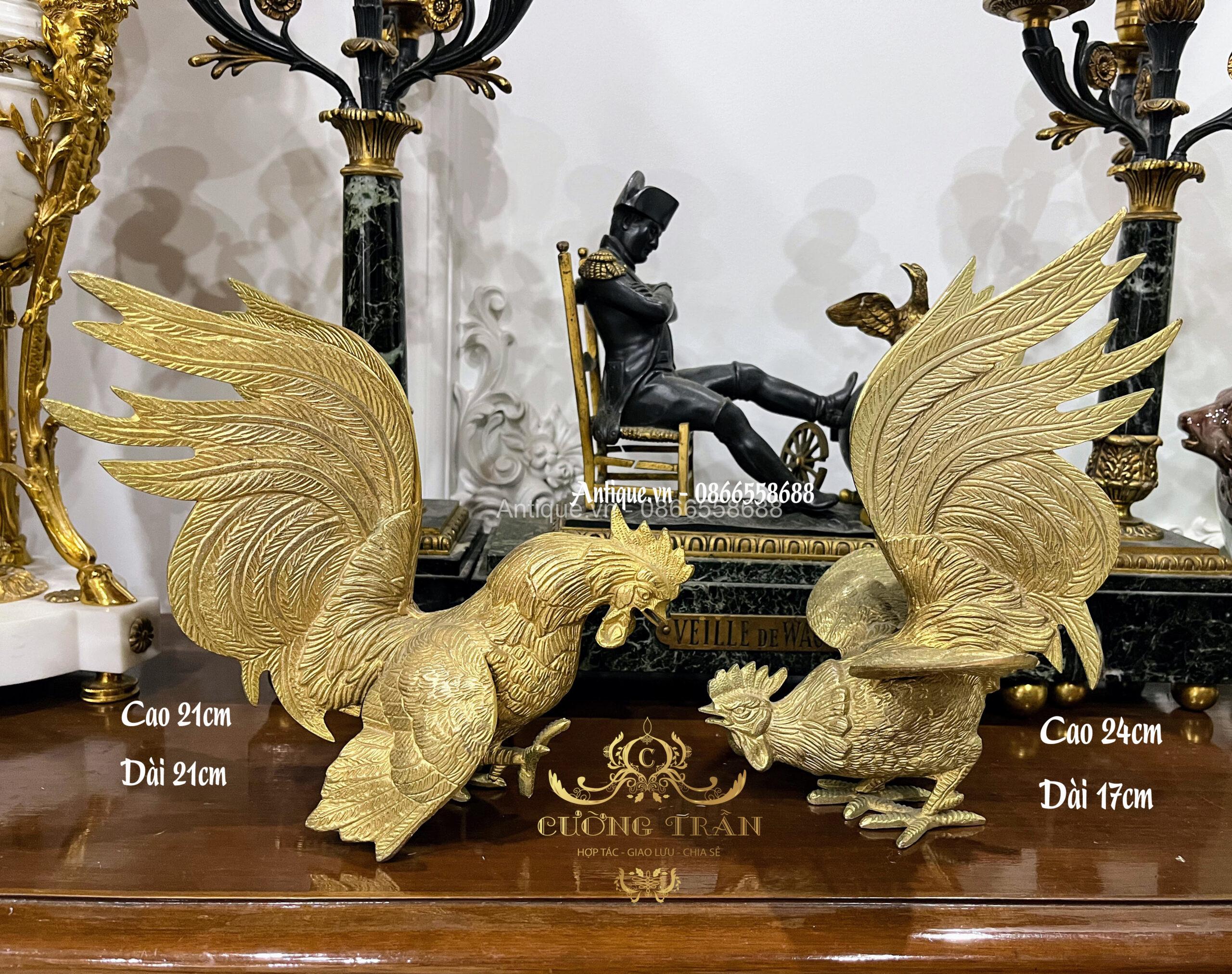 Gà chọi đồng Gà chọi đồng