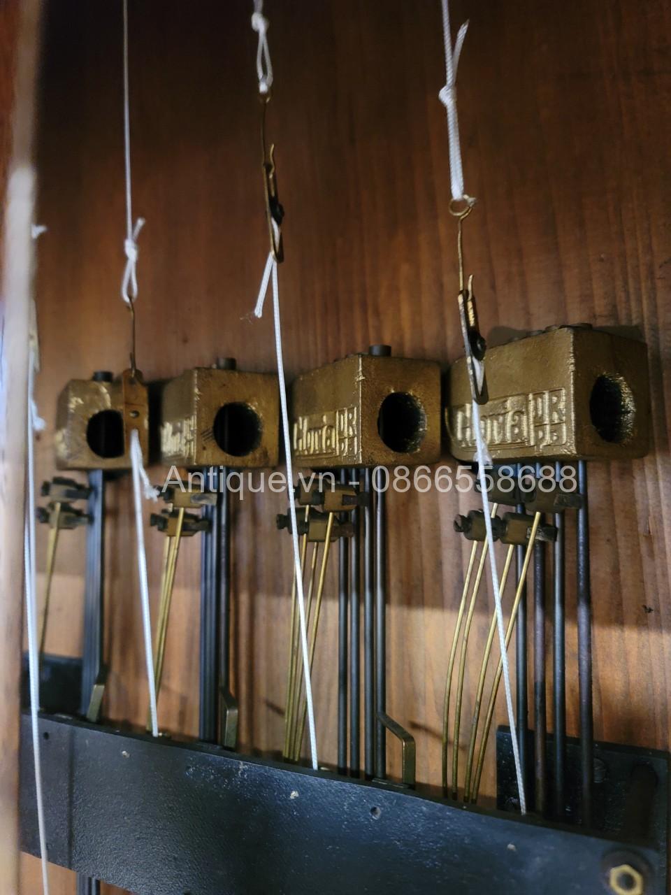 z5345330962290_3360f95d49ebfb1815ad351c8eef706e