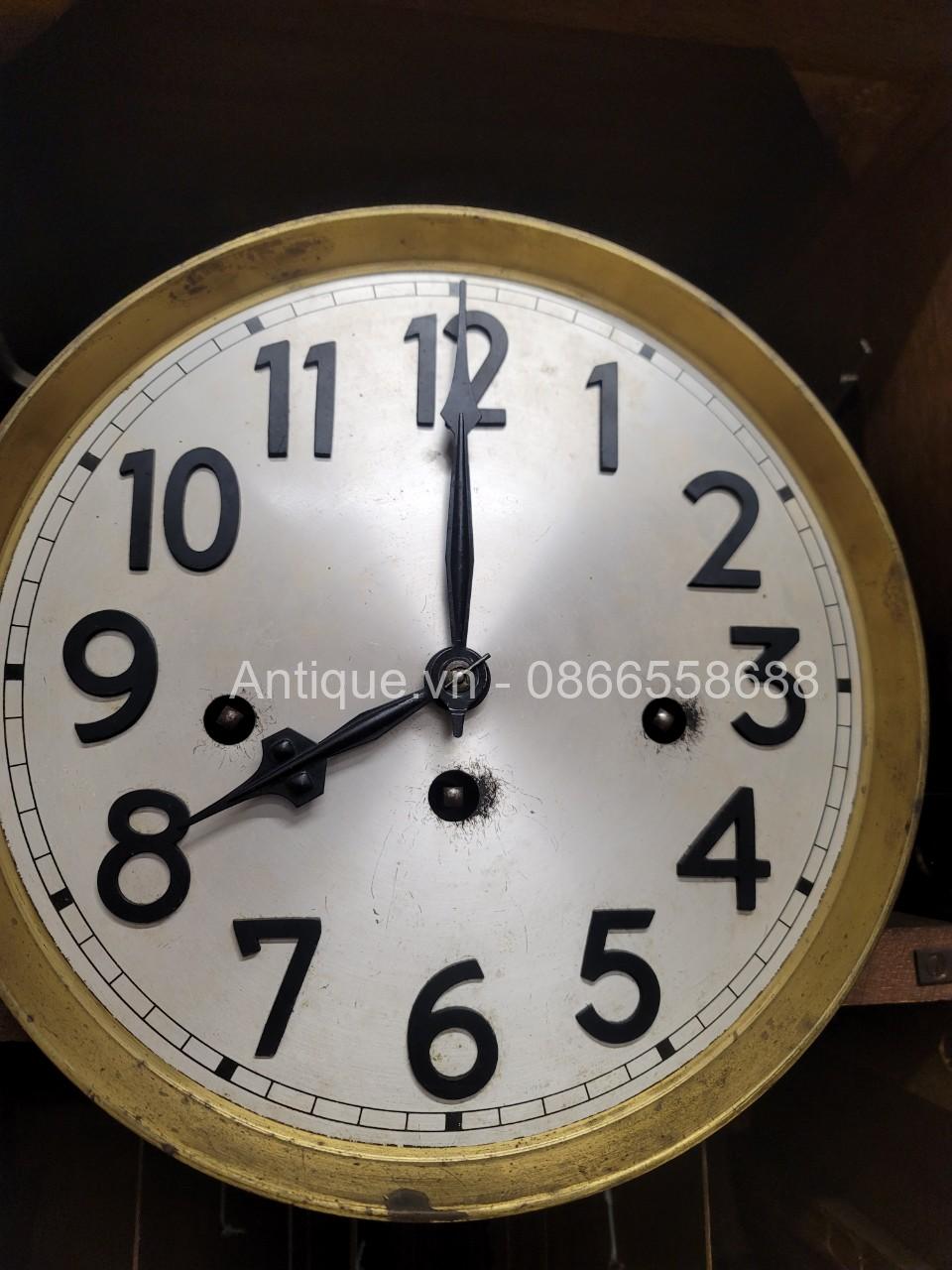 z5345330999747_1121a19659fee937d1ab059acfc838d7