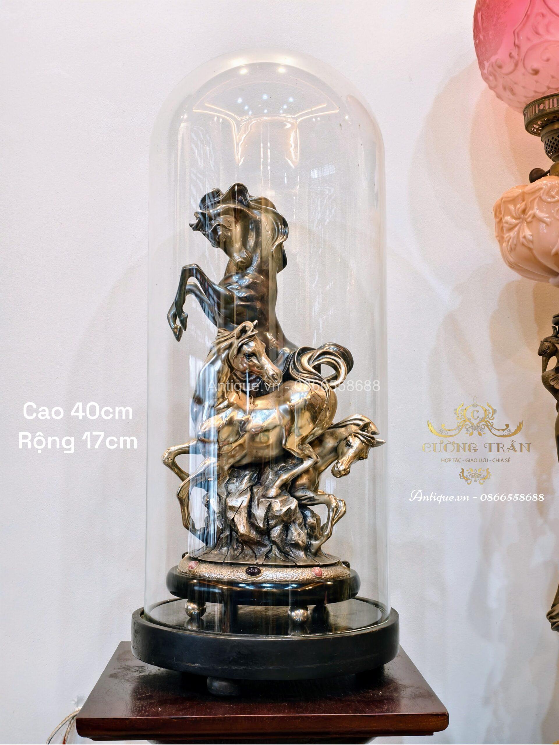 transparent-Photoroom (24)